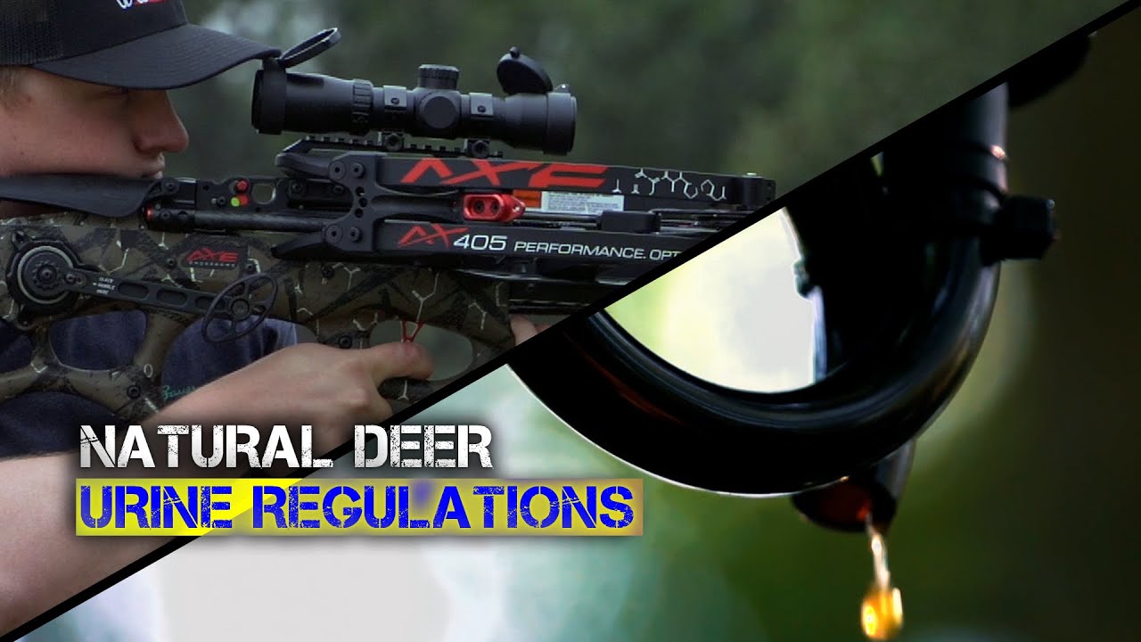 Regulations to Remember While Scouting for Whitetails YouTube