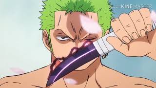 When Zoro Smell Blood