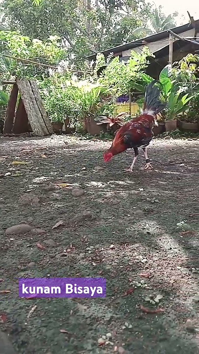 kunam