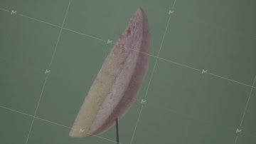 Peach rotating with loop on green screen for chroma key