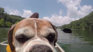 Nolin Lake Canoe Trip