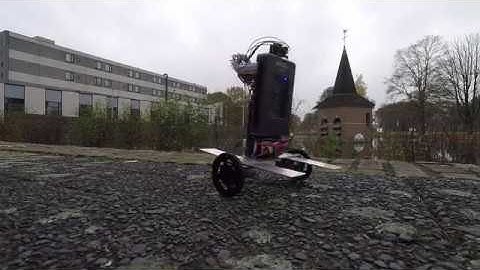 Two Wheeled Inverted Pendulum