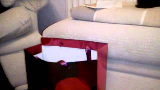 Cat In The Bag. Sam & Max