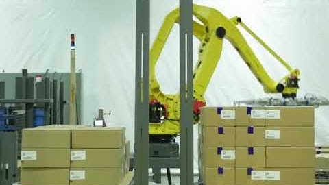Pearson RPC Robotic Palletizing Cell Loading Two Pallets with Three Products | ProPac.com