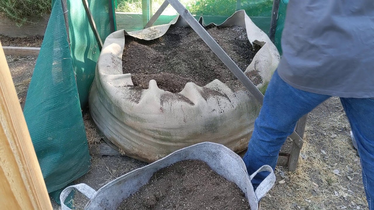 Cannabis garden 2020! Amending the soil