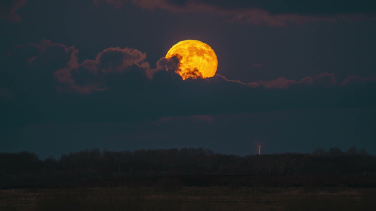 Moonrise Timelapse ⎮ Store Vildmose