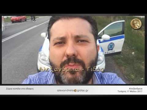 Σύρια στο έδαφος