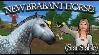 NEW BRABANT Horse is HERE!! (Star Stable)