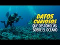 10 Datos Curiosos Que Desconocías Sobre El Océano