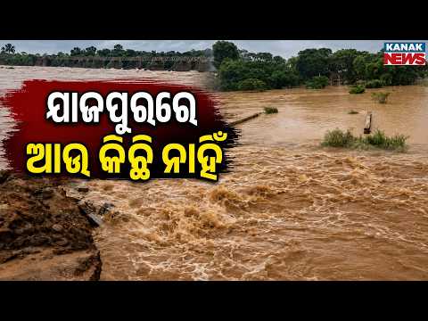 Jajpur Flood Damage | Farmers Face Huge Crop Loss After Floodwaters Recede