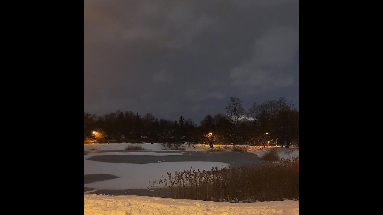 ripsquad + emoplugg + jackzebra type beat "bots" @rainn_god