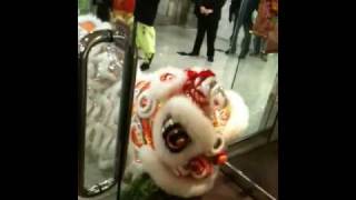 Lion Dance 2010