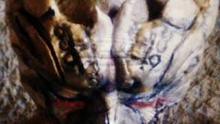 3 Neo Blood Guyvictory King Nbg 0