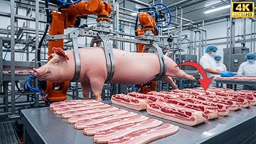 Inside the Production Line That Turns Pork into Crispy Bacon — 10 Tons per Day