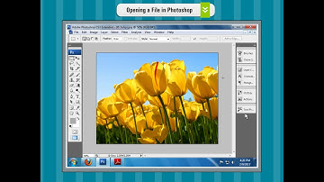 Chapter 6 - Part 2 - Creating and Opening a New File in Photoshop | Computer Class 8