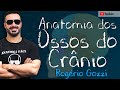 ANATOMIA DOS OSSOS DO CRÂNIO - Rogério Gozzi