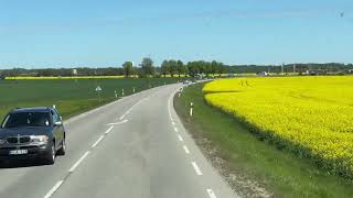 【4K】 Baltic Countries Road Sides in May