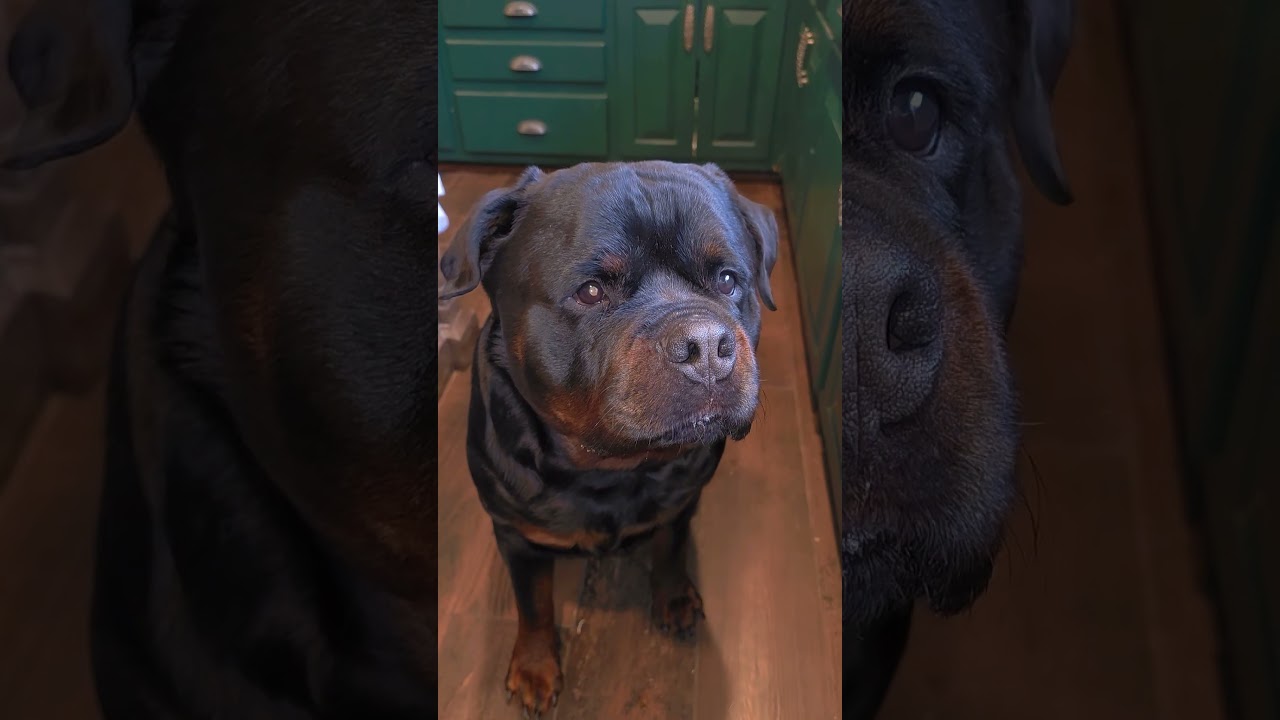 Мысли Элроя 