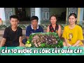 Chú Mạnh | Cầy Tơ Nướng Lòng Cầy Quấn Cây Cực Hấp Dẫn