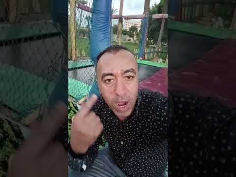 كشف روحاني قرأني علاج وقف الحال وضيق الرزق شباب ورجال تشتكي من التعطيل وتأخر الرزق