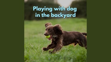 Simple Backdrops for Forgetting Mirrors