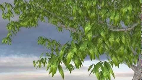 Daz Studio animated tree