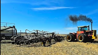 Seeding has begun!! Arnold needs new shoes! 👞 