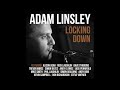 Rosie feat alison jiear from the album locking down by adam linsley