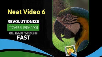 Neat Video 6. Fastest and smartest denoiser and de-flicker yet!