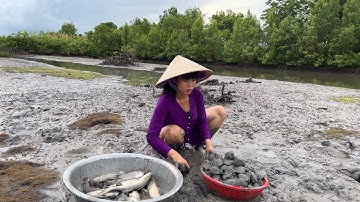 THUỐC CÁ VUÔNG TÔM CHUẨN BỊ VỤ NUÔI MỚI | Thôn Nữ Cà Mau