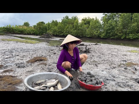 Video THUỐC CÁ VUÔNG TÔM CHUẨN BỊ VỤ NUÔI MỚI | Thôn Nữ Cà... - youtube