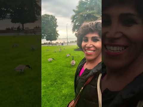 کانادا ونکوور تناز مهربان