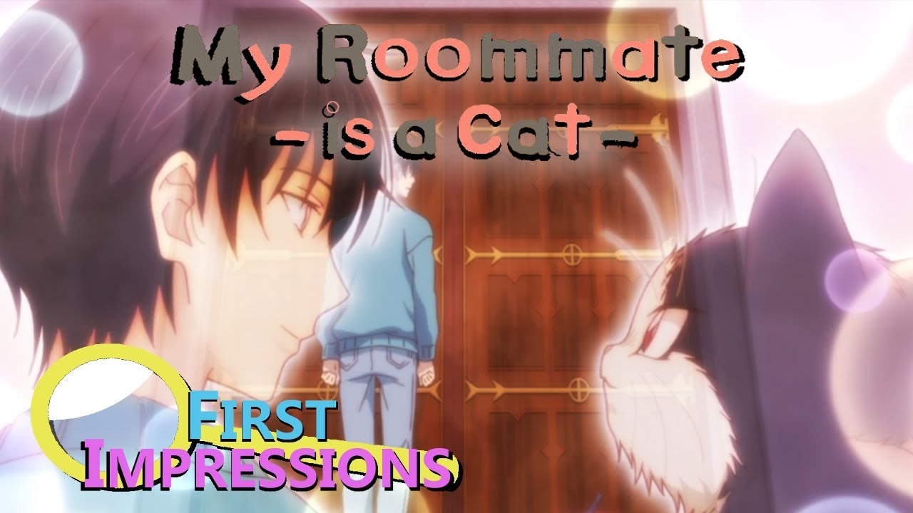 My Roommate Is A Cat Intro