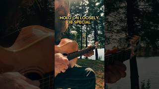 https://paidtabs.com/PhilJakes #38special #holdonloosely #fingerstyle #guitartabs #acoustic
