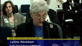 NY State Assembly Public Hearing  - 06/11
