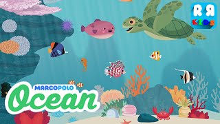 MarcoPolo Ocean (By MarcoPolo Learning, Inc.) - iOS / Android - Gameplay Video screenshot 2