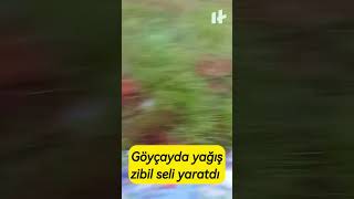 Göyçayda yağış “zibil seli” yaradıb