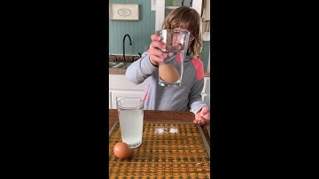 Density of Matter: Floating Egg