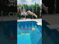 Top 5 Unreal Waterfall Moments Caught on Camera