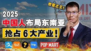 90%人都没发现，中资企业 已悄悄拿下这 6大产业！这几大市场，已被中资称霸！到底是富是祸？