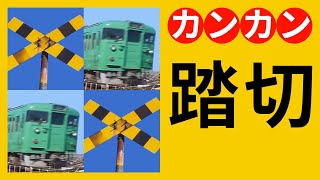 踏切 カンカン 特集【JR草津線 荒川踏切 #1 】Railroad Crossing in Japan