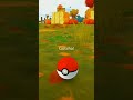 #pokemon #sort Rowlet🦉🦉🦉Catch#pokemon #sort