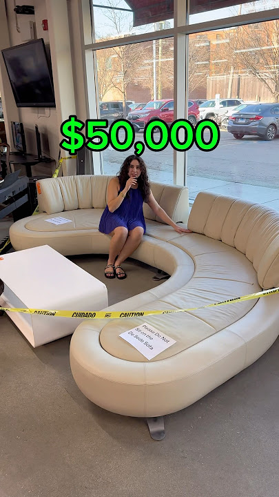 Sofa Seharga $50.000 Ditemukan di Toko Barang Bekas?
