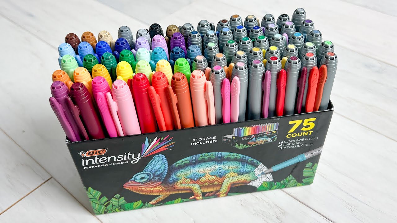 Bic Intensity Fineliner Marker Pen Sets