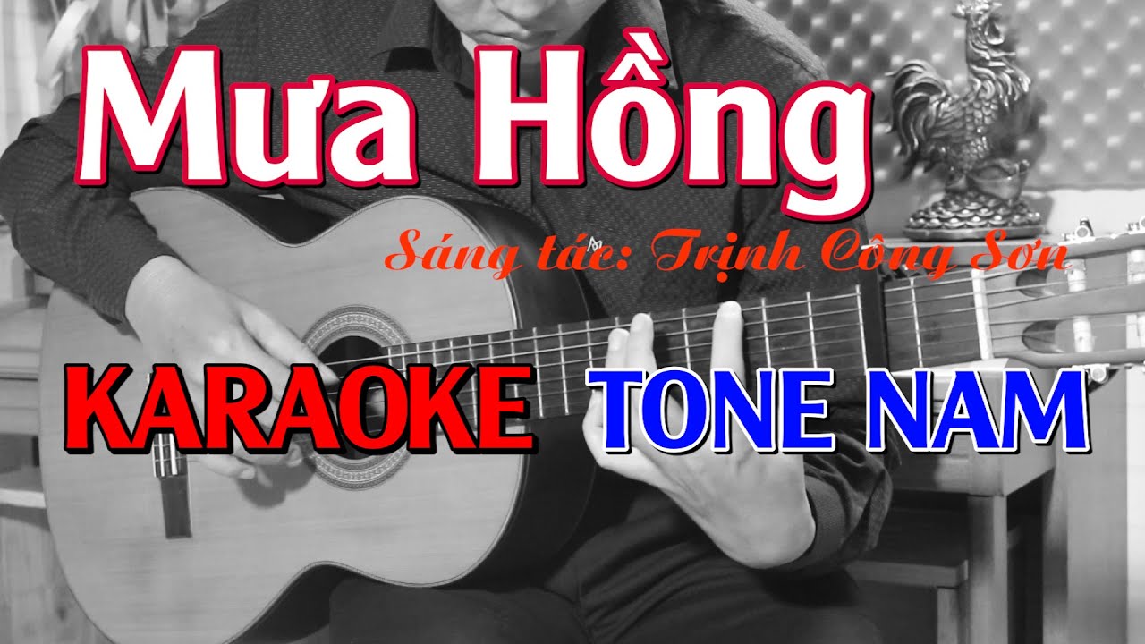 Mưa Hồng - Karaoke Tone Nam - Beat Guitar