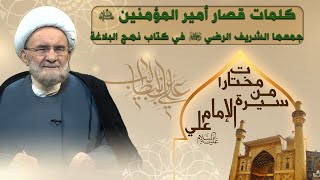 من كلمات أمير المؤمنين عليه السلام - الشيخ علي الكوراني