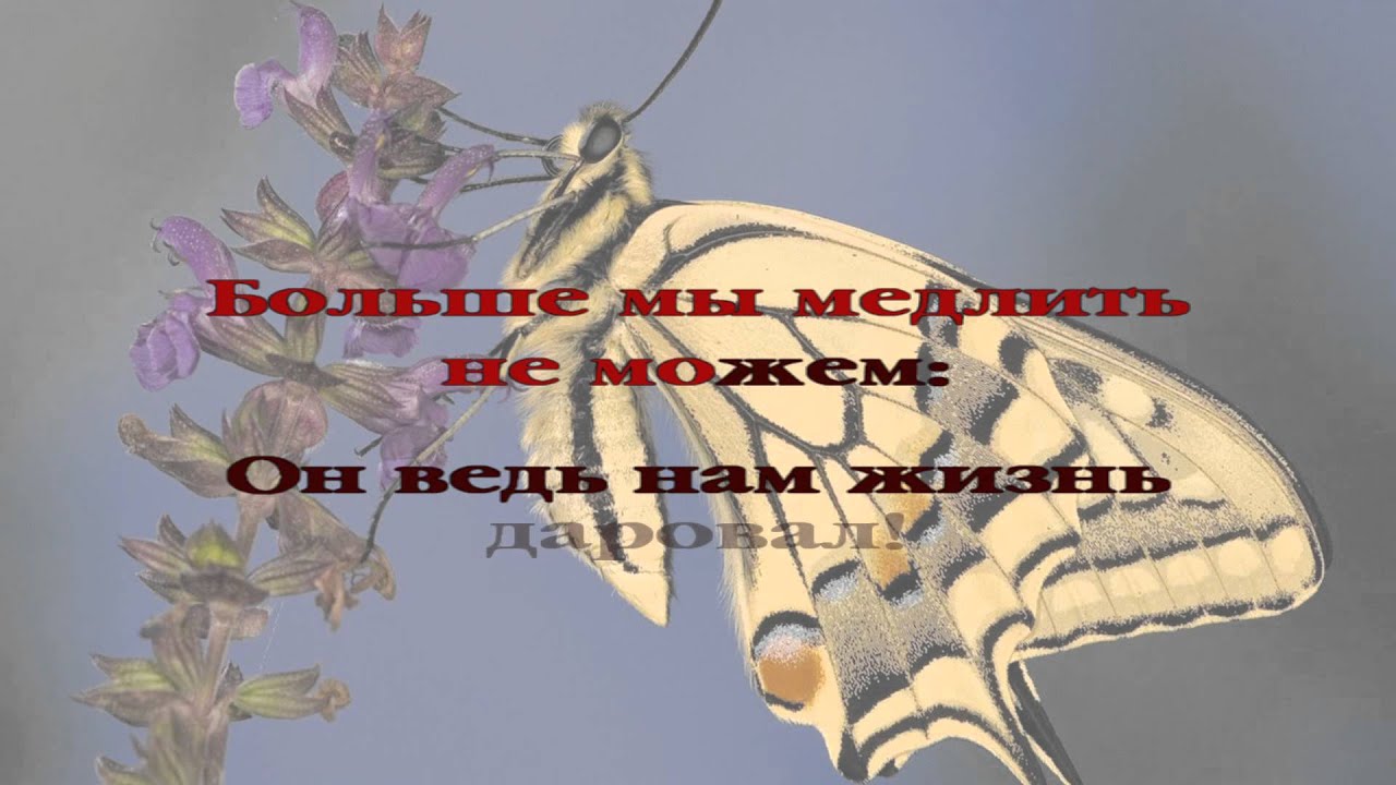 100 Лучшие дни нашей жизни - YouTube