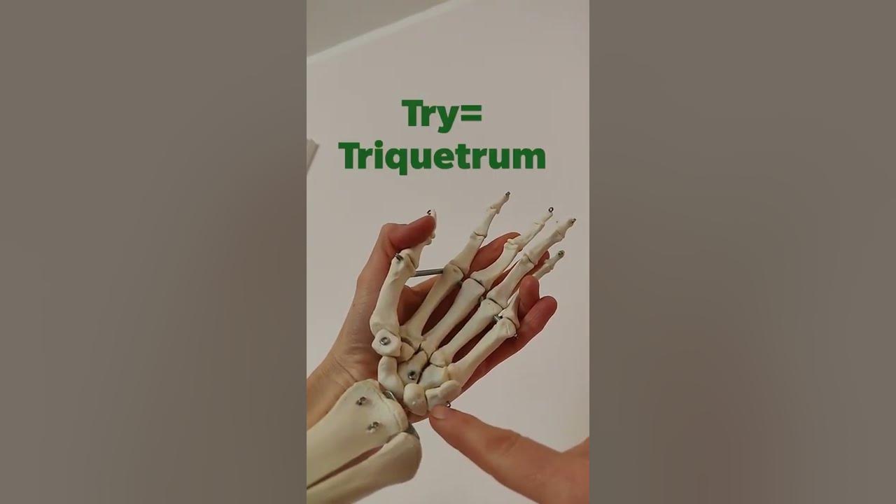 Some lovers try positions that they cannot handle learn the carpal