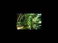 Pandengandoru Nadundarnne Whatsapp Status Video Download Free