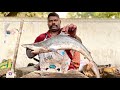 Kasimedu selvam shark fish cutting  uk sons marine